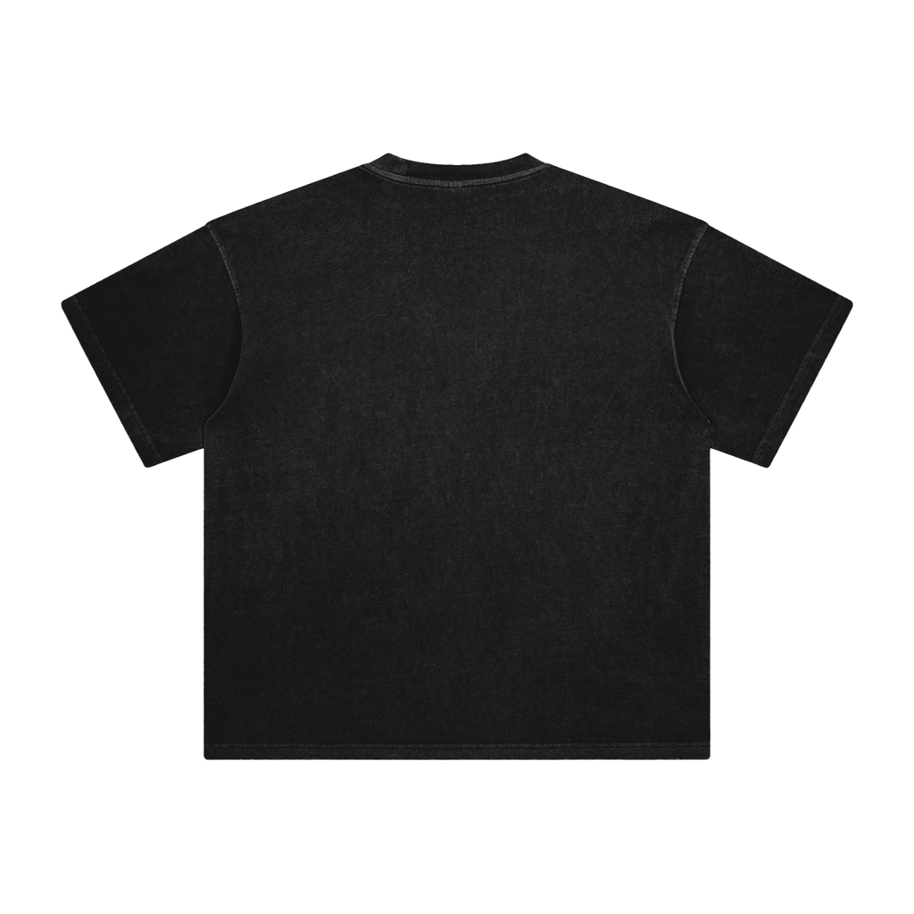 Raglan Washed T-Shirt