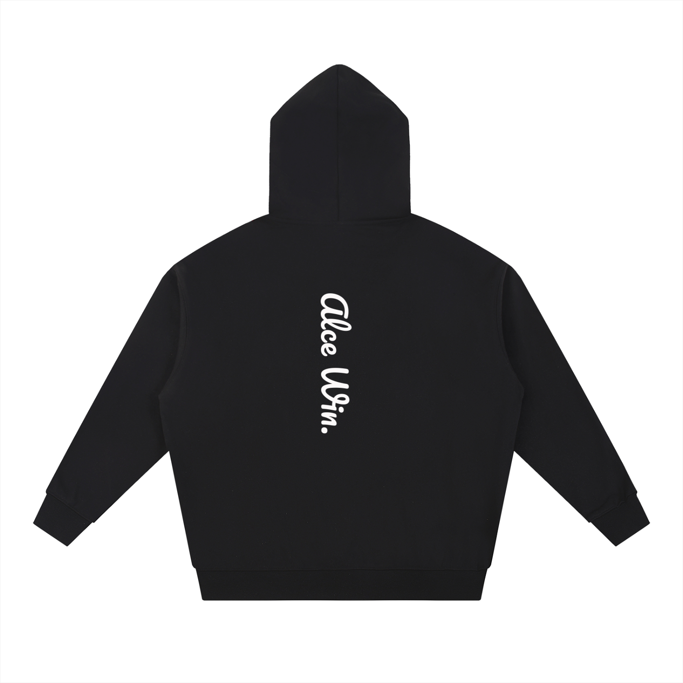 Alce win Heavy Structure Hoodie